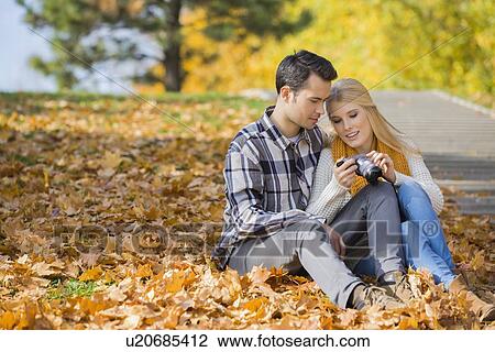 Couple looking at pictures on digital camera in park during autumn View Large Photo Image Stock Image - Couple looking at pictures on digital camera in park during autumn. Fotosearch
