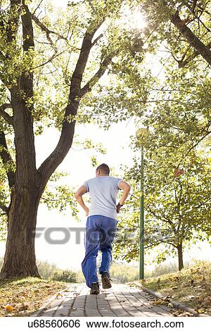 Stock Photograph - Full length rear view of man jogging in park. Fotosearch
