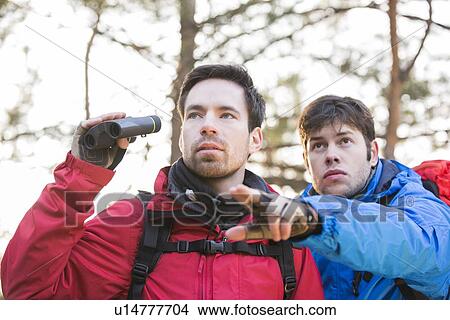 Picture - Hiker showing something to friend holding binoculars in forest. Fotosearch