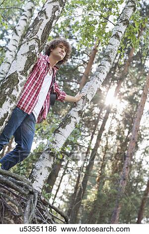 Low angle view of male hiker standing in forest View Large Photo Image Stock Photograph - Low angle view of male hiker standing in forest. Fotosearch