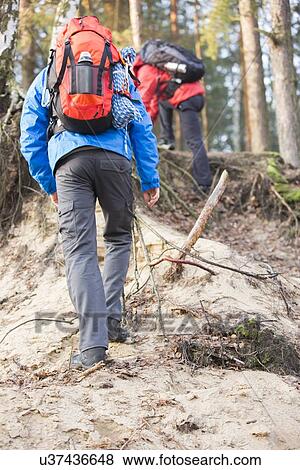 Male backpackers hiking in forest View Large Photo Image Stock Photo - Male backpackers hiking in forest. Fotosearch