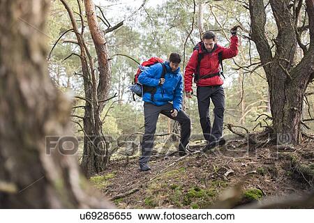 Stock Photography - Male backpackers hiking in forest. Fotosearch