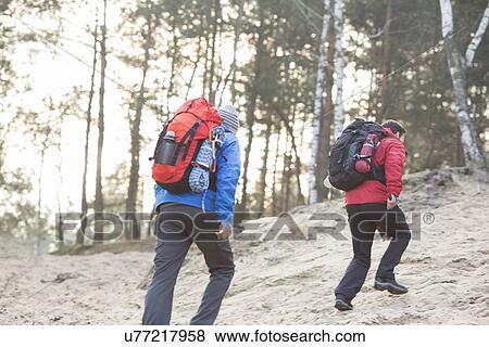 Male backpackers walking in forest View Large Photo Image Stock Photo - Male backpackers walking in forest. Fotosearch