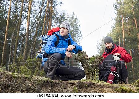 Male hikers in forest View Large Photo Image Picture - Male hikers in forest. Fotosearch