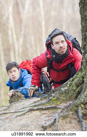 Stock Image - Male hikers trekking in forest. Fotosearch