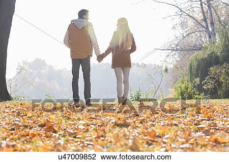 Rear view of couple holding hands in park during autumn View Large Photo Image Stock Image - Rear view of couple holding hands in park during autumn. Fotosearch