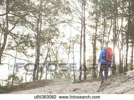 Rear view of male hiker in forest View Large Photo Image Stock Image - Rear view of male hiker in forest. Fotosearch