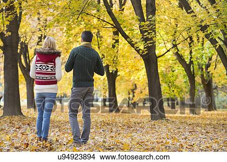 Picture - Rear view of young couple walking in park during autumn. Fotosearch