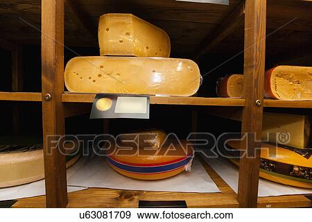 Stock Photo - Variety of cheese on shelves at store. Fotosearch