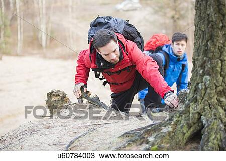 Young backpackers hiking in forest View Large Photo Image Stock Image - Young backpackers hiking in forest. Fotosearch