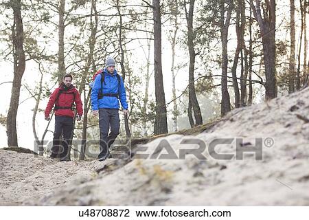 Young male backpackers hiking in forest View Large Photo Image Stock Image - Young male backpackers hiking in forest. Fotosearch