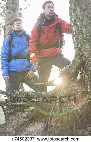 Stock Photo - Young male backpackers in forest. Fotosearch
