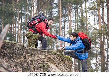 Young male hiker helping friend while trekking in forest View Large Photo Image Stock Photography - Young male hiker helping friend while trekking in forest. Fotosearch