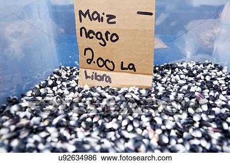 stock photo of a bucket of black corn at the Houston Farmers Market View Large Photo Image Stock Photograph - stock photo of a bucket of black corn at the Houston Farmers Market. Fotosearch