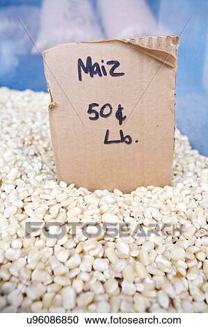 Stock Image - stock photo of a bucket of corn at the Houston Farmers Market. Fotosearch