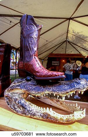 Stock photo of an alligator-skin cowboy boot resting on an ominous-looking head at the Texas Gatorfest in Anhuac. View Large Photo Image Stock Image - Stock photo of an alligator-skin cowboy boot resting on an ominous-looking head at the Texas Gatorfest in Anhuac.. Fotosearch