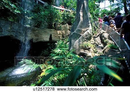 Stock photo of the interior of Cockrell Butterfly Center at the Museum of Natural Science View Large Photo Image Stock Photo - Stock photo of the interior of Cockrell Butterfly Center at the Museum of Natural Science. Fotosearch