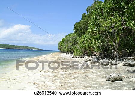 Stock Image - Beautiful shoreling. Fotosearch