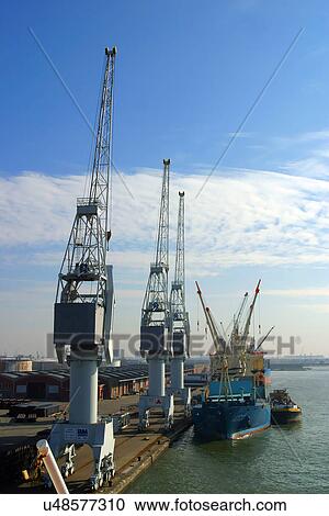 Cranes on a commercial dock View Large Photo Image Stock Image - Cranes on a commercial dock. Fotosearch