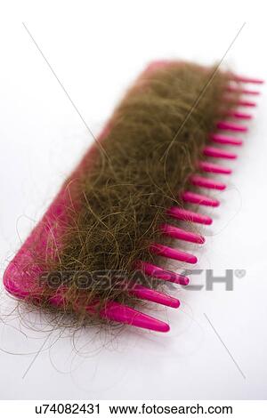 Hair in a comb View Large Photo Image Stock Image - Hair in a comb . Fotosearch