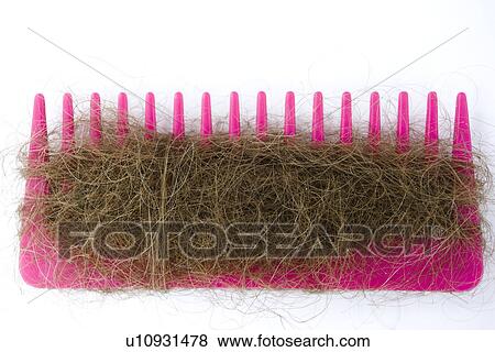 Hairy comb View Large Photo Image Stock Photo - Hairy comb . Fotosearch