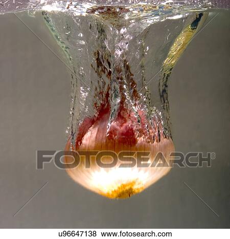 Stock Photo - Onion in water. Fotosearch