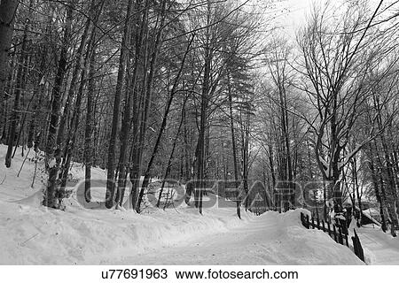 Stock Image - Snow covered bridge . Fotosearch