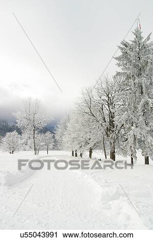 Stock Image - Snow covered road . Fotosearch