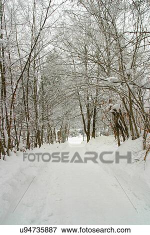 Stock Photo - Snow covered road, . Fotosearch