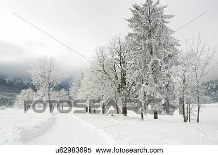 Stock Photography - Snow covered road . Fotosearch