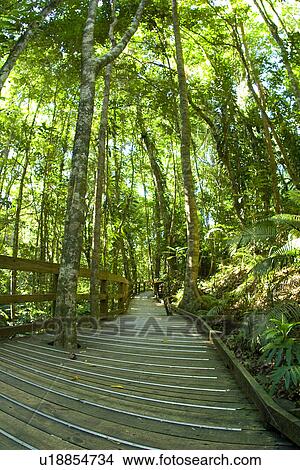 Picture - Wooden bridge. Fotosearch