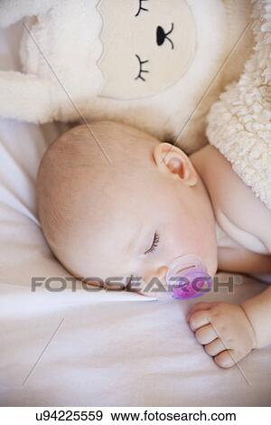 Baby girl sleeping in crib with cuddly toy View Large Photo Image Stock Photo - Baby girl sleeping in crib with cuddly toy. Fotosearch