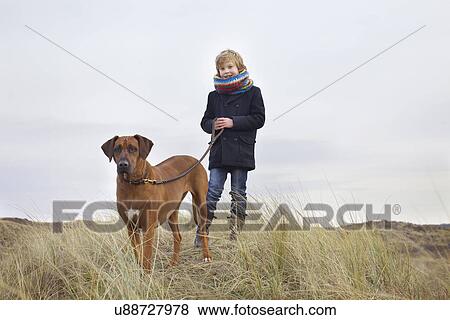 Stock Photo - Boy walking his dog in sand dunes at coast. Fotosearch