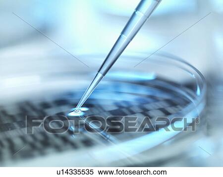 Stock Photography - DNA (deoxyribonucleic acid) autoradiogram in a petri dish. Fotosearch