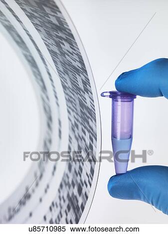 Stock Photography - Genetic sample and DNA autoradiogram. Fotosearch