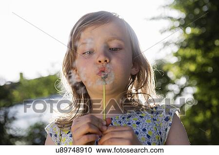 Girl blowing dandelion clock View Large Photo Image Stock Image - Girl blowing dandelion clock. Fotosearch