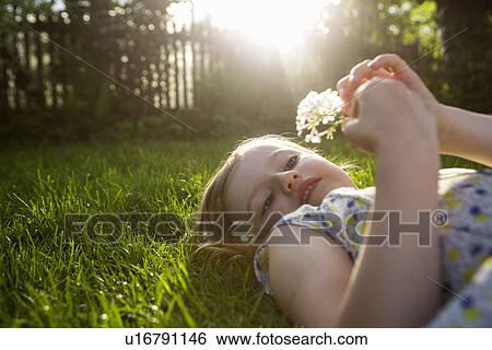 Girl with dandelion clock, lying on back on grass View Large Photo Image Stock Photograph - Girl with dandelion clock, lying on back on grass. Fotosearch