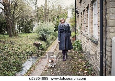 Mature woman walking dog View Large Photo Image Stock Photo - Mature woman walking dog. Fotosearch