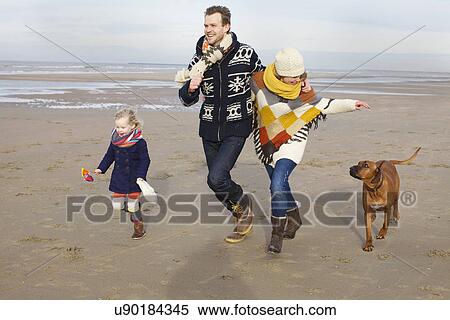 Mid adult parents, daughter and dog running on beach, Bloemendaal aan Zee, Netherlands View Large Photo Image Stock Photography - Mid adult parents, daughter and dog running on beach, Bloemendaal aan Zee, Netherlands. Fotosearch