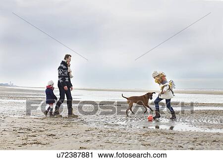 Mid adult parents with daughter and dog playing football on beach, Bloemendaal aan Zee, Netherlands View Large Photo Image Stock Image - Mid adult parents with daughter and dog playing football on beach, Bloemendaal aan Zee, Netherlands. Fotosearch