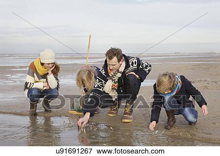 Mid adult parents with son and daughter searching for seashells on beach, Bloemendaal aan Zee, Netherlands View Large Photo Image Stock Photo - Mid adult parents with son and daughter searching for seashells on beach, Bloemendaal aan Zee, Netherlands. Fotosearch