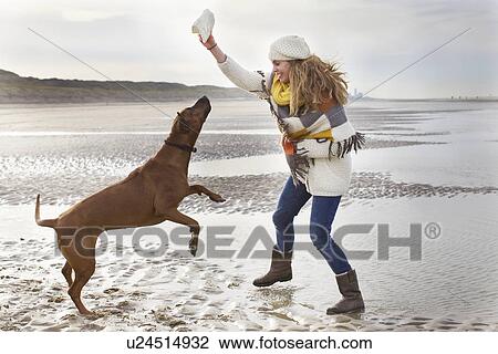 Mid adult woman teasing dog at beach, Bloemendaal aan Zee, Netherlands View Large Photo Image Stock Image - Mid adult woman teasing dog at beach, Bloemendaal aan Zee, Netherlands. Fotosearch