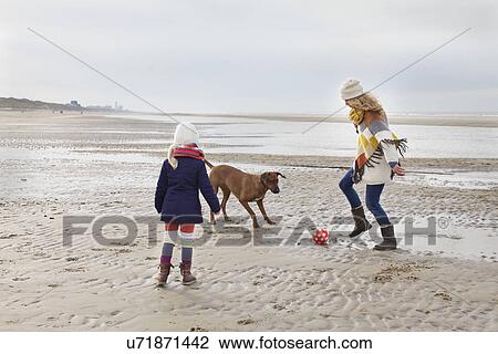 Stock Image - Mid adult woman with daughter and dog playing football on beach, Bloemendaal aan Zee, Netherlands. Fotosearch