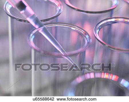 Stock Image - Pipette adding sample to a test tube in a laboratory. Fotosearch