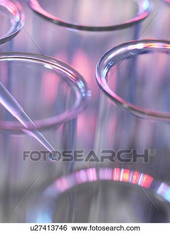 Pipette adding sample to a test tube in a laboratory View Large Photo Image Stock Photograph - Pipette adding sample to a test tube in a laboratory. Fotosearch