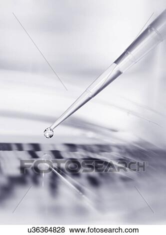 Stock Photo - Pipette and petri dish with autoradiogram. Fotosearch