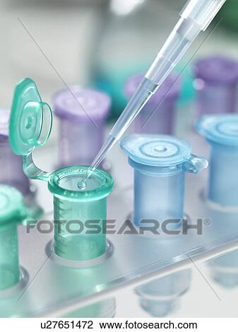 Stock Image - Pipette dropping a solution into a vial, used for storing liquid during chemical or biological research. Fotosearch