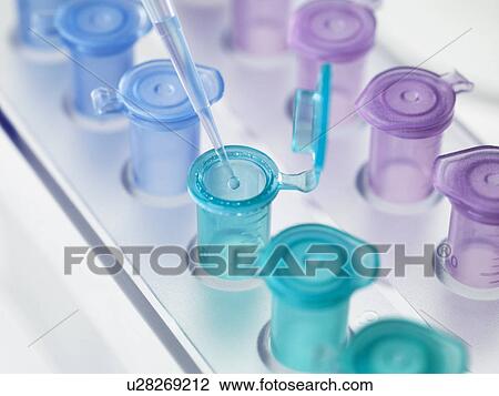 Stock Image - Pipette dropping a solution into a vial, used for storing liquid during chemical or biological research. Fotosearch