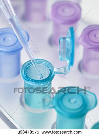 Stock Photography - Pipette dropping a solution into a vial, used for storing liquid during chemical or biological research. Fotosearch