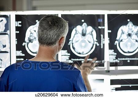 Picture - Radiologist looking at brain scans. Fotosearch